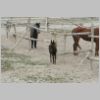 22_53 Rainbow Ranch.jpg